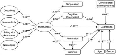 Mindfulness as a Protective Factor Against Depression, Anxiety and Psychological Distress During the COVID-19 Pandemic: Emotion Regulation and Insomnia Symptoms as Mediators